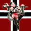 Wiking's Avatar